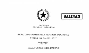PERATURAN PEMERINTAH REPUBLIK INDONESIA NOMOR 54 TAHUN 2OI7 TENTANG BADAN USAHA MILIK DAERAH